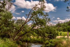 Summer-at-River-Geul
