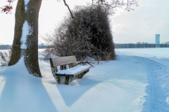 Winter Wonder World