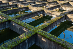 20251216-113404-GZ8_8202