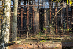 20251216-121517-GZ8_8284-HDR