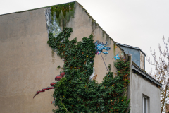Stree Art CGN II contd.