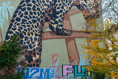 20241121-141828-GZ8_9379